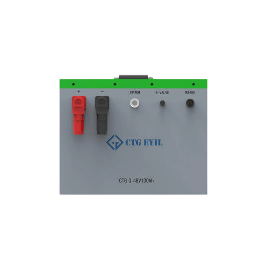 Golfcart 48V 100Ah Lithium Ion Battery