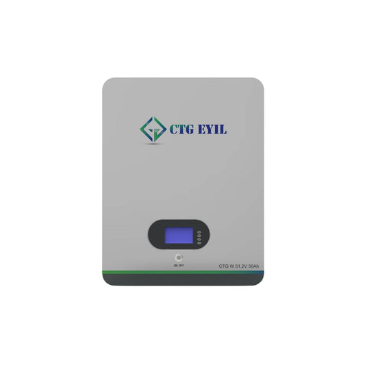 Wall Mount 51.2V 50Ah Lithium-Ion battery