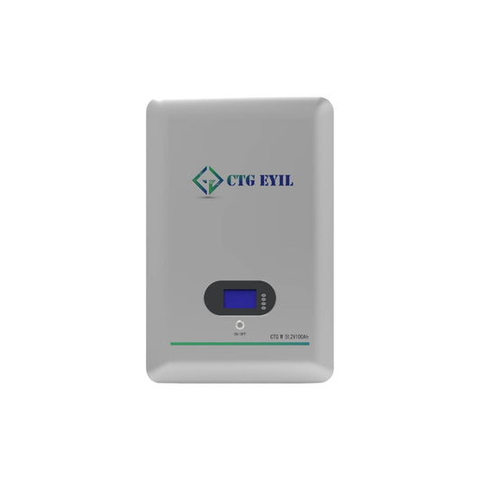 Wall Mount 51.2V 100Ah Lithium-Ion battery