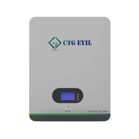 Wall Mount 51.2V 50Ah Lithium-Ion battery