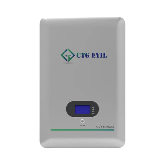Wall Mount 51.2V 100Ah Lithium-Ion battery