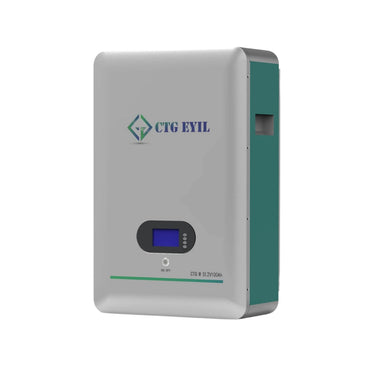 Wall Mount 51.2V 100Ah Lithium-Ion battery