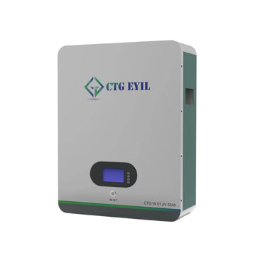 Wall Mount 51.2V 50Ah Lithium-Ion battery